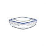 Container 1025ml