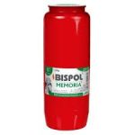 Bipol memoria oil candle large